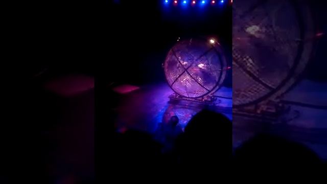 Цирк(7) смотреть онлайн