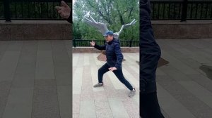 тайцзи цюань .расчесать гриву дикой лошади.