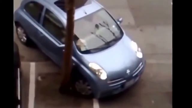 Баба за рулем! Как Паркуются ДеВУШКИ! авто приколы!