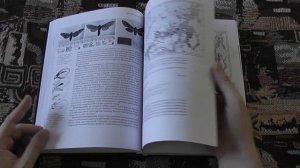 "Бражники фауны России и сопредельных территорий" (В.В.Золотухин, С.И.Евдошенко, 2019)