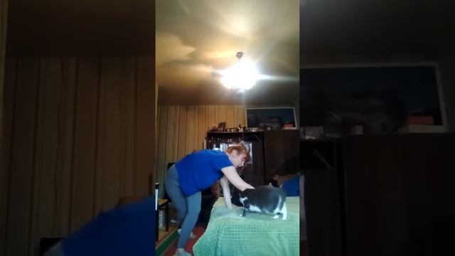 Балет Домашний быт