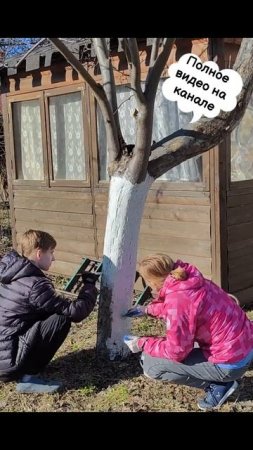 Обработка деревьев!