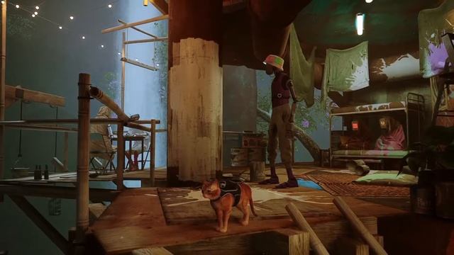 Пушистое прохождение игры Stray  For Robert 8