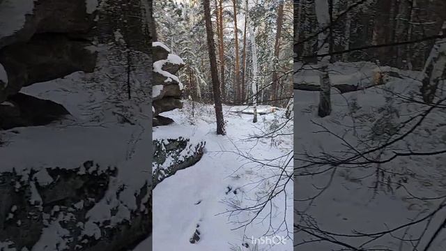 Семь братьев и три Сестры смотреть онлайн