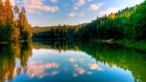 Реки, речушки, ручьи