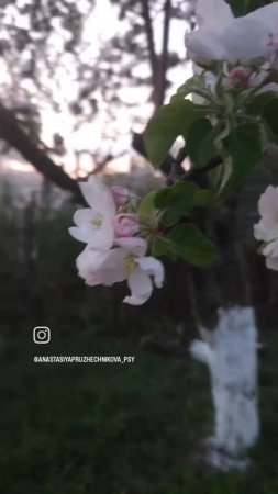 Майский чек-лист
