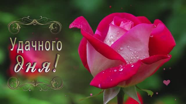 Короткие и красивые поздравления для самых близких! _14