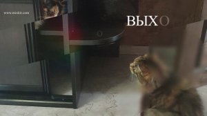 Мои коши!!! 1 мая