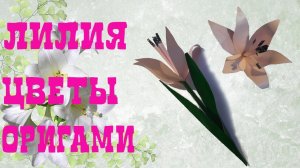 Оригами ЛИЛИЯ I Origami Flower - Lily