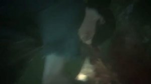 The last of us 
Одни из нас