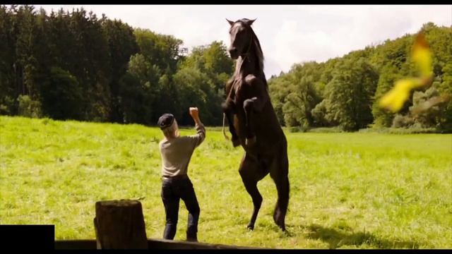 Топ семейных фильмов смотреть онлайн