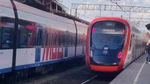 Две иволги отправляются с платформы Москворечье (D2)