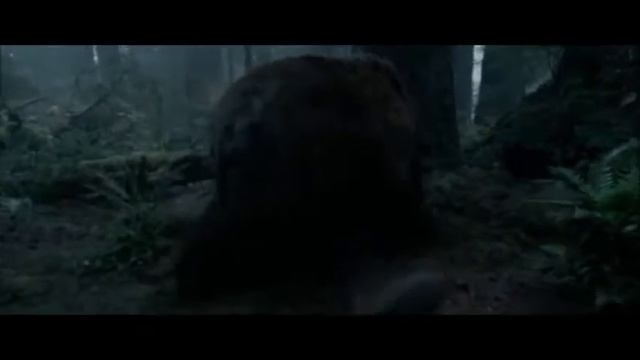 Выживший. Нападение медведя (не лезь дебил она тебя сожрет) смотреть онлайн