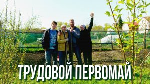 Трудовой Первомай