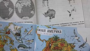 ВПР Окружающий мир 4 класс, 2025 год, вариант 10 из 25