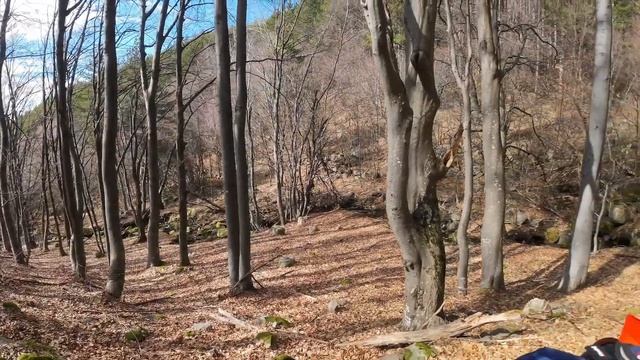 Бърза разходка в гората с KTM EXC-F 500 2022 - Enduro Bulgaria - 08.03.2023. смотреть онлайн