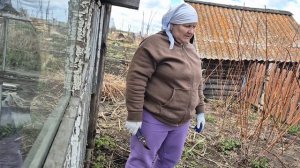 сегодня огородные работы