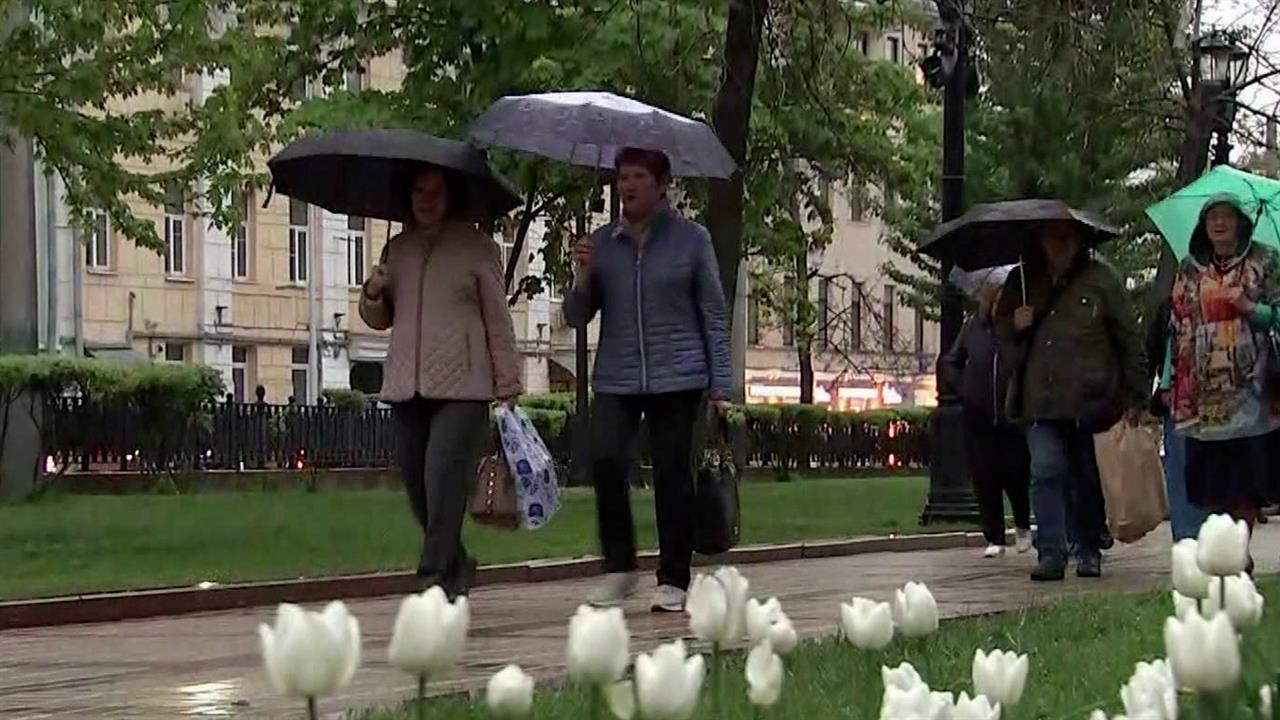 Треть от месячной нормы осадков может выпасть в Москве в четверг
