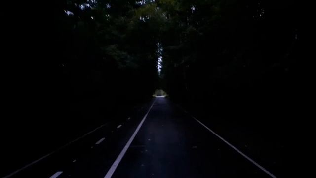 Москва 3036 Бумажная просека осень вечер