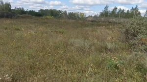 PCP Беркут. Отстрел на кучность. Пули Люман, JSB, H&N Baracuda.