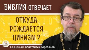 ОТКУДА РОЖДАЕТСЯ ЦИНИЗМ ? Священник Константин Корепанов