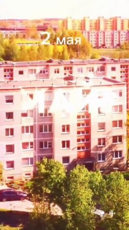 АНТИКВИЗ " Маевка " Москва