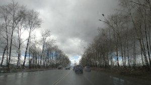 #173 НИЖНИЙ ТАГИЛ улица Алтайская