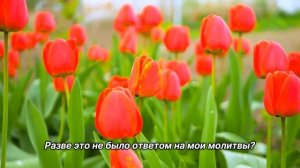 "Высшая Сила". 24 мая. Сегодня-лучший путь. Ежедневник для созависимых.