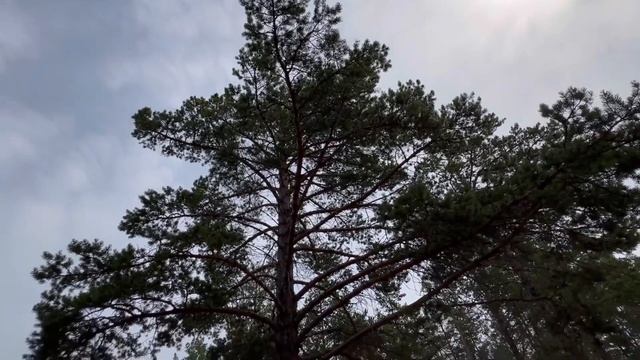 остров ОЛЬХОН озеро БАЙКАЛ #байкал