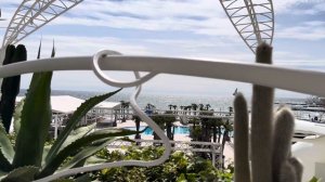 Тревожное утро. Красиво.Ночной клуб Ибица.Одесса.20.04.2024