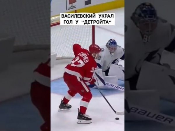 Василевский украл гол у "Детройта" #хоккей #нхл #василевский #тампа #детройт #shorts #short