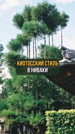Киотосский стиль в ниваки