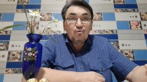 Кто были мои гости? Обращаюсь к подписчикам  Рутуба. Предел моих возможностей!