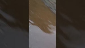 Мы ходим по лужам
