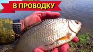 МОРЕ ПОКЛЁВОК. НЕОБЫЧНЫЙ УЛОВ. Рыбалка в проводку на ОКЕ.