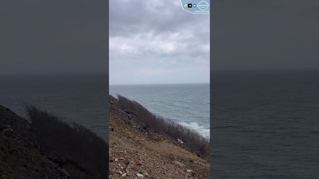 Какие тачки везут автовозами из Владивостока часть 1