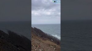 Какие тачки везут автовозами из Владивостока часть 1