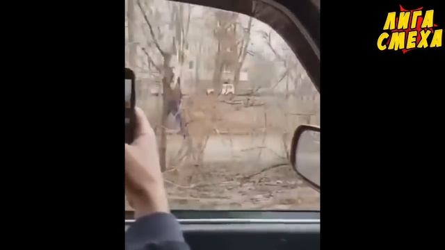 САМОЕ СМЕШНОЕ ВИДЕО В МИРЕ | ПОПРОБУЙ НЕ ЗАСМЕЯТЬСЯ | Лига Смеха