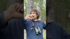 Фотоловушки