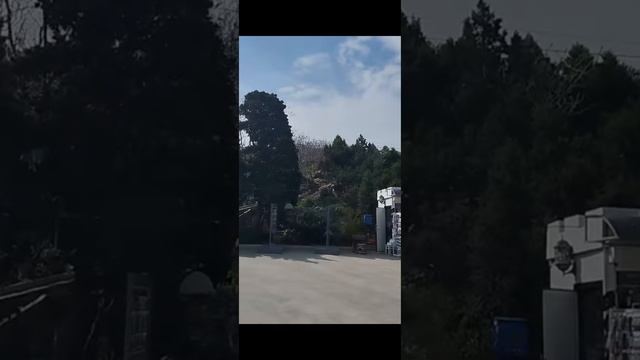 Ласточкино гнездо замок 🏰!!! Моя мечта 💭