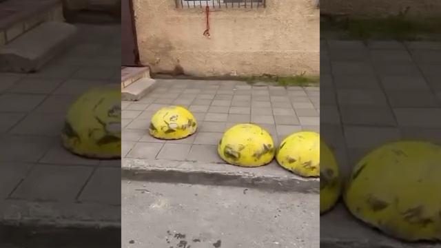 Уважаемые жители г
Обращаемся к вам с просьбой: не паркуйте автомобили возле контейнерных площадок.