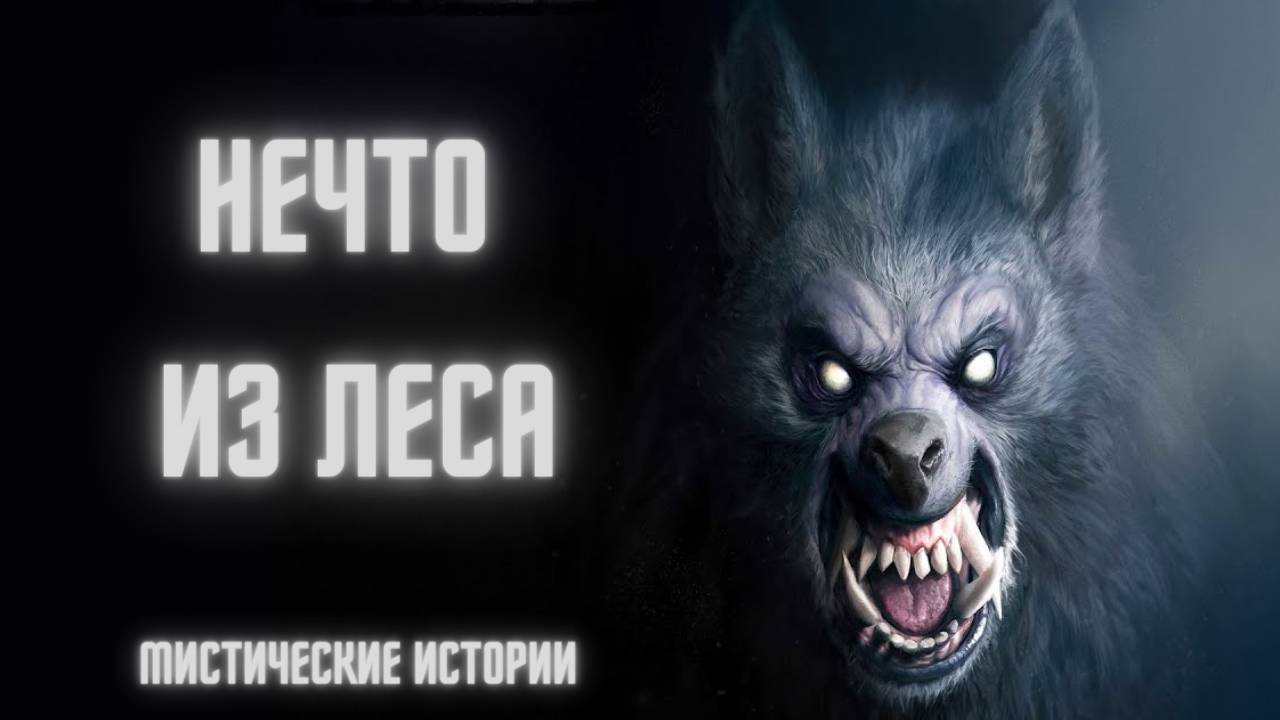 НЕЧТО ИЗ ЛЕСА! Страшные истории. Страшные истории из жизни. Страшилки. Мистика. Кошмары