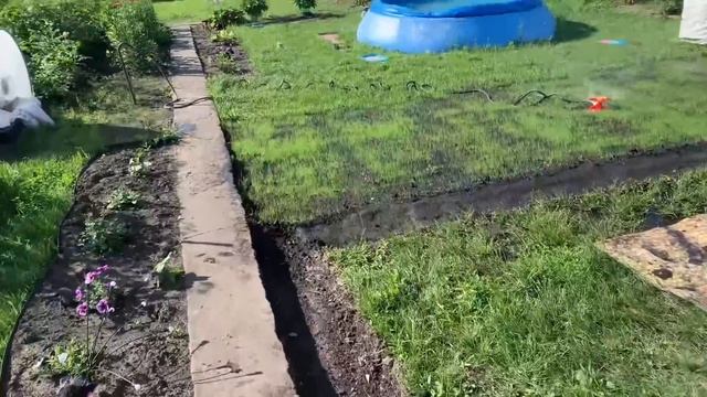 БОРЬБА С СОРНЯКАМИ/ЭКСПЕРИМЕНТ/КРАСИВЫЙ ГАЗОН НА ДАЧЕ