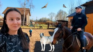 ЖИЗНЬ В СЕЛЬСКОЙ МЕСТНОСТИ - ЭТО БЕЗУМИЕ! Что происходит, когда вы живёте с лошадьми