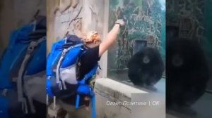 Обезьяна оказалась умнее 🦧🤩👏