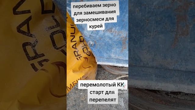 #куры #кормдлякур #зерносмесьдлянесушек #зерно