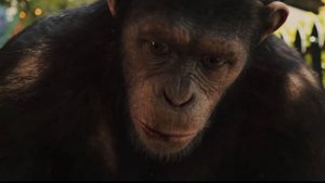 Хит-Манки | В центре внимания | Marvel's Hit-Monkey