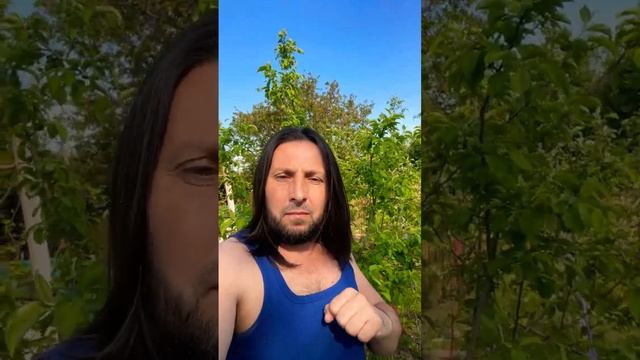 Танцы шманцы