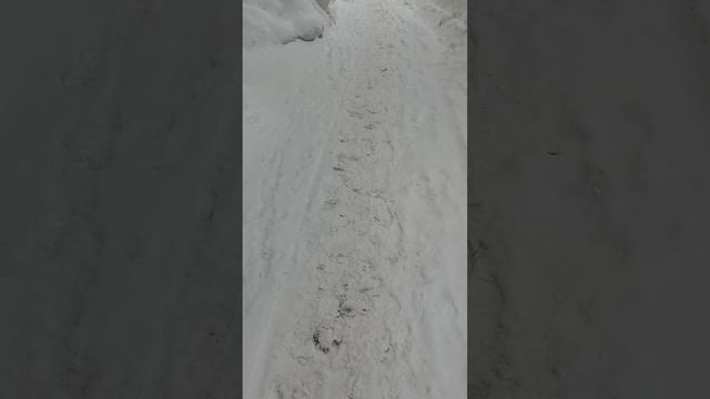 10 марта 2025 г., 10:07:00
ул. Газеты Звезда
VID_20250310_100403777
