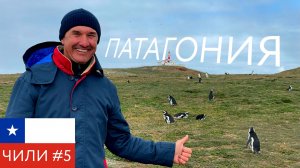 Чилийская Патагония. Магелланов пролив. Огненная Земля.